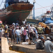 Essaouira (12)